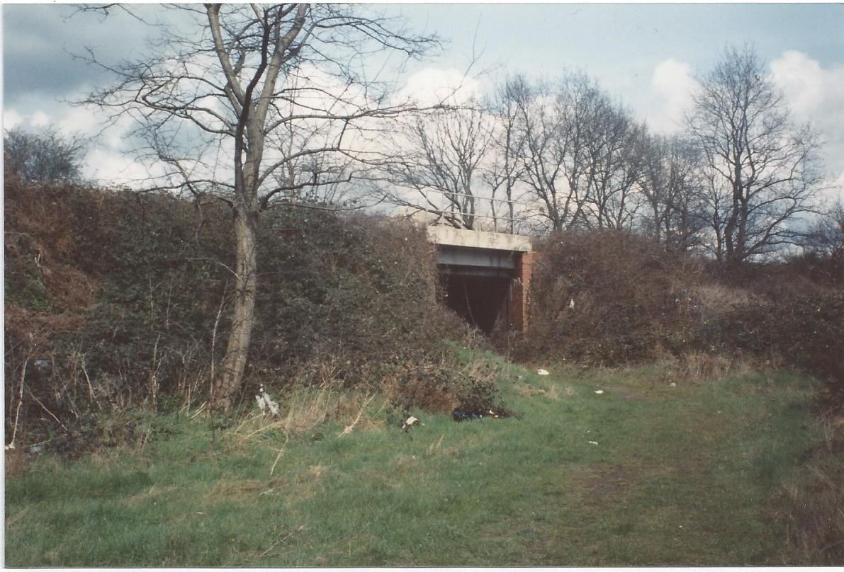 Bridge
