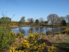 The Pond as it appears today.