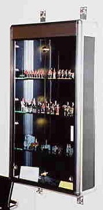 Purchase of a display case for the re-furbished John Reed Gallery at the Museum.